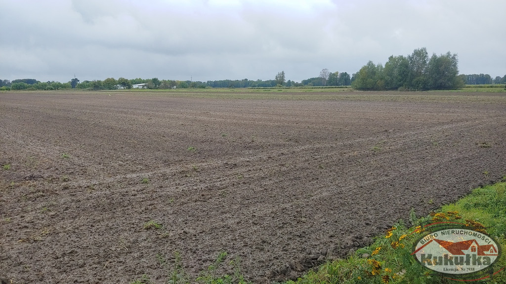 Działka Sprzedaż Gorzów Wielkopolski Zieleniec