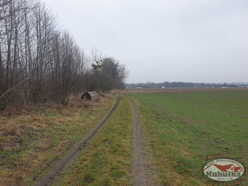 Działka Sprzedaż Chwalęcice