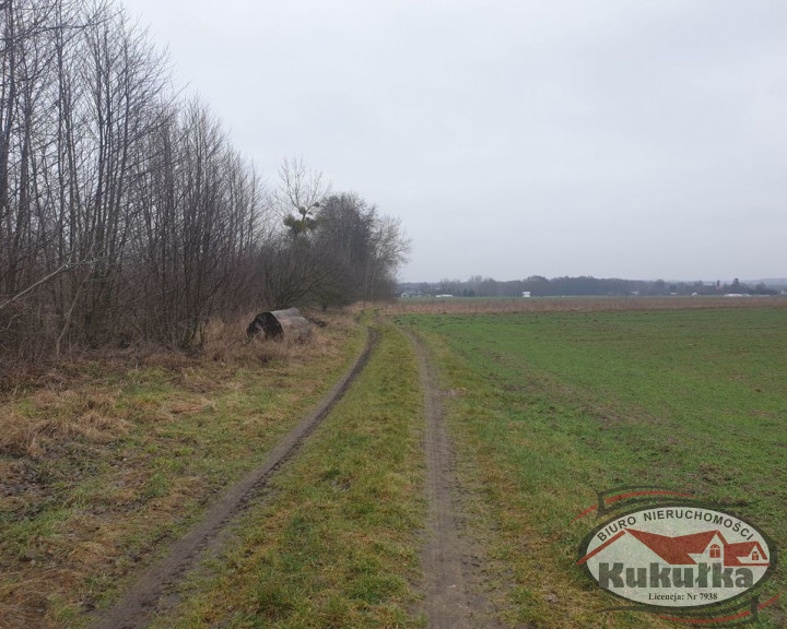 Działka Sprzedaż Gorzów Wielkopolski Zieleniec